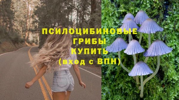 марки lsd Осинники