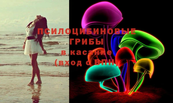 экстази Осташков