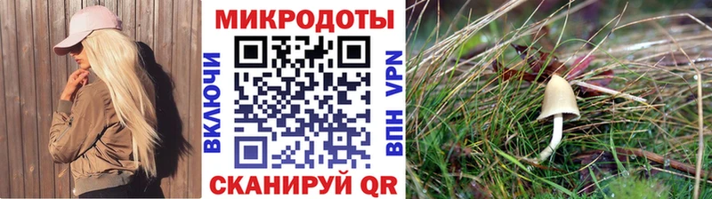 Псилоцибиновые грибы Magic Shrooms  закладки  Лебедянь 